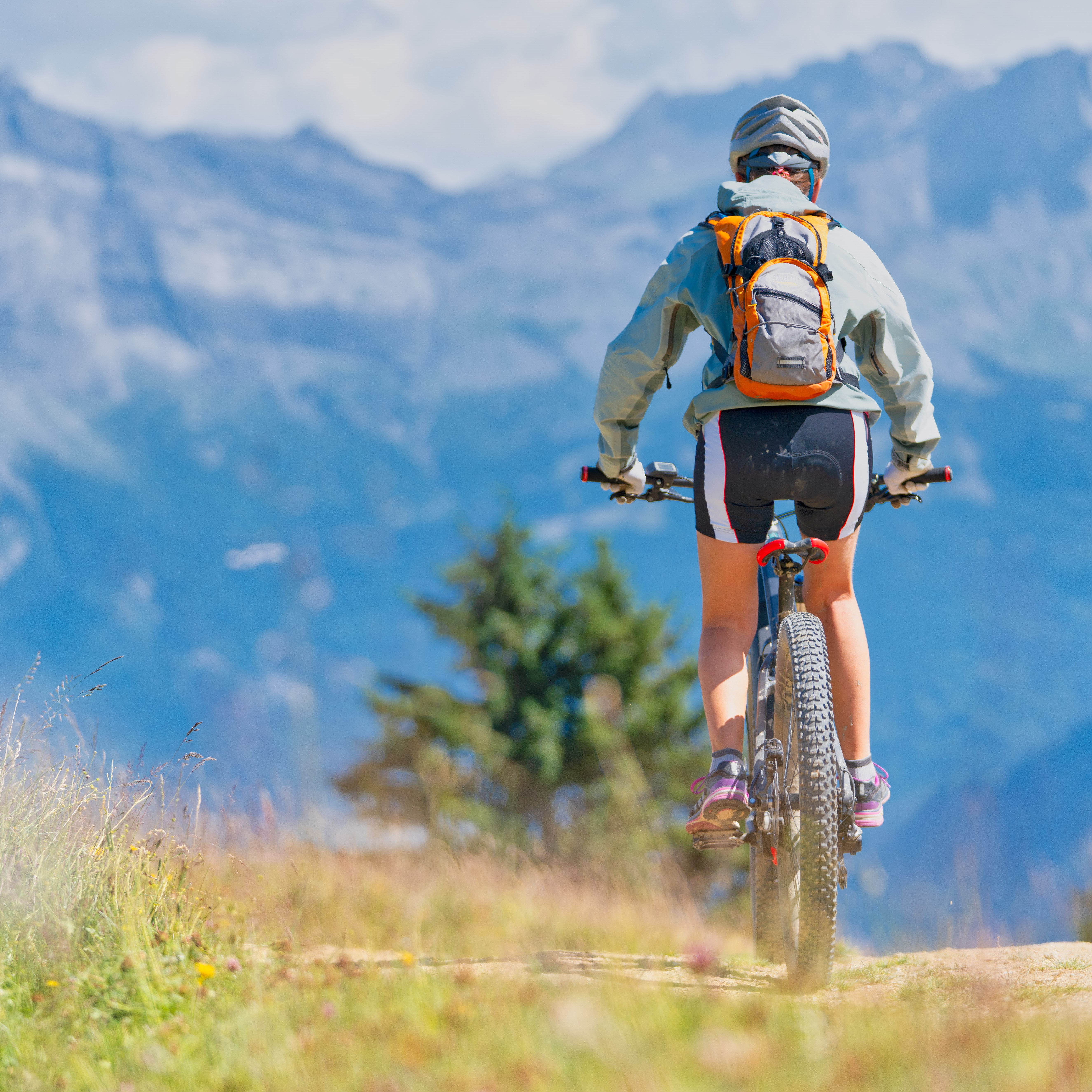 Vente vtt en ligne best sale